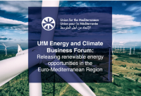 Save the date for the UfM Energy and Climate Business Forum, Cairo, Egypt : 18 October 2017